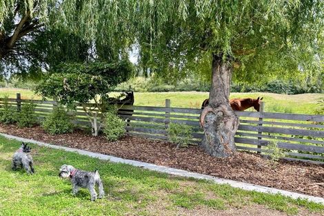 Photo of property in 667 Marshland Road, Ouruhia, Christchurch, 8083