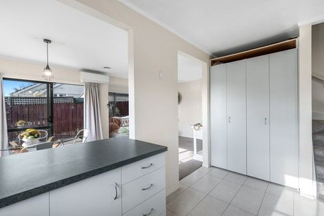 Photo of property in 19 Cook Street, Gate Pa, Tauranga, 3112