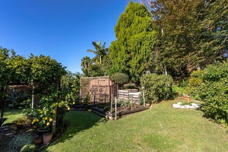 Photo of property in 101 Tukere Drive, Whangamata, 3620