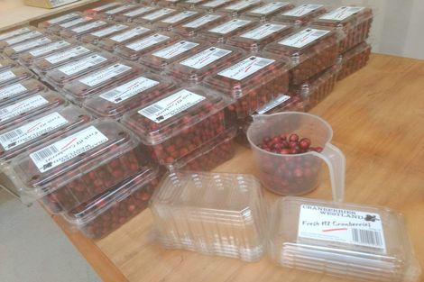 Photo of property in 1218 Old Christchurch Road, Awatuna, Hokitika, 7882