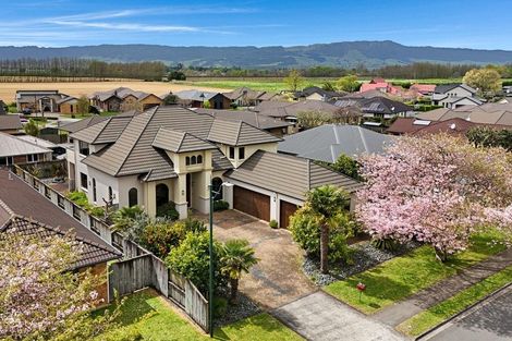 Photo of property in 83 Findlater Street, Matamata, 3400