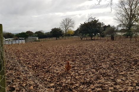 Photo of property in 389 Waiuku Road, Puni, Pukekohe, 2678