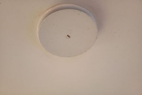 Photo of property in 1/11 Ciprian Place, Henderson, Auckland, 0612