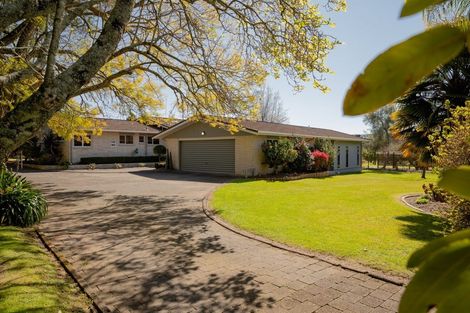 Photo of property in 26 Cheetham Avenue, Te Puke, 3182