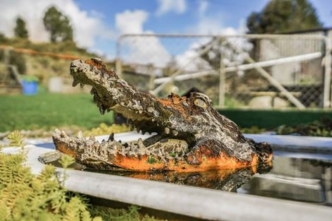 Photo of property in 218 Cowell Street, Kawhia, 3889