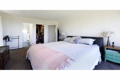 Photo of property in 41 Park Drive, Richmond, 7020