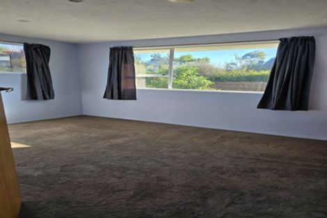Photo of property in 20 Amberley Beach Road, Amberley, 7410