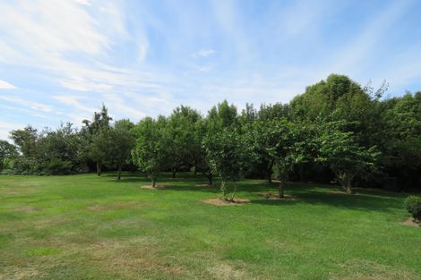 Photo of property in 532 Orari Station Road, Geraldine, 7992