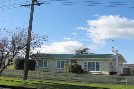 Photo of property in 41 Prouse Street, Levin, 5510