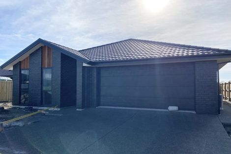 Photo of property in 55 Bonecrusher Street, Lincoln, 7608