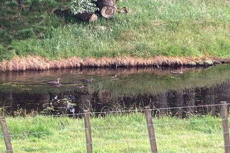 Photo of property in 964 Churchill Road, Pukekawa, Tuakau, 2696