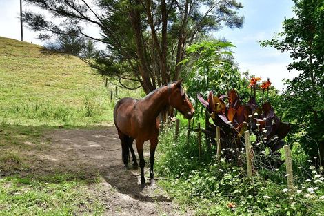 Photo of property in 1811 Kaipara Coast Highway, Kaukapakapa, Warkworth, 0984