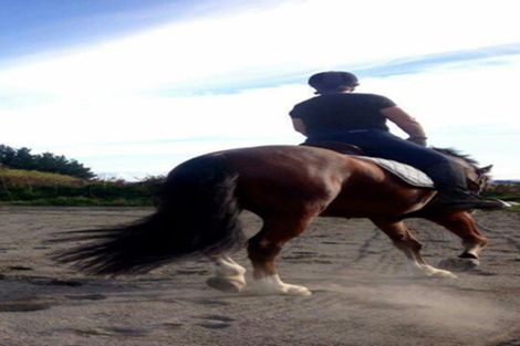 Photo of property in 121 Mount Stewart Halcombe Road, Sanson, Palmerston North, 4479