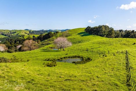 Photo of property in 133 Wearmouth Road, Paparoa, 0571