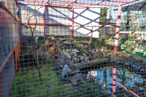 Photo of property in 5a East Ridge Grove, Newstead, Hamilton, 3286