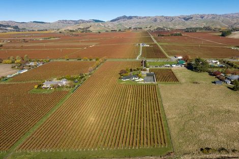 Photo of property in 376 New Renwick Road, Fairhall, Blenheim, 7272