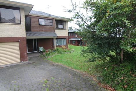 Photo of property in 45 Ramelton Road, Mount Roskill, Auckland, 1041