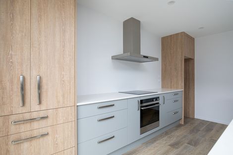 Photo of property in 109b Tarbert Street, Alexandra, 9320