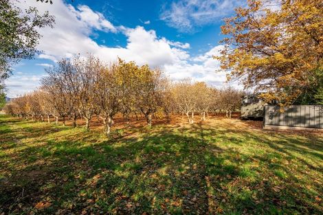 Photo of property in 115 Ord Road, Cromwell, 9384