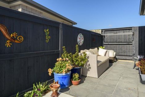 Photo of property in 14 Foley Grove, Pyes Pa, Tauranga, 3110