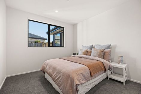 Photo of property in 101 Warden Street, Richmond, Christchurch, 8013