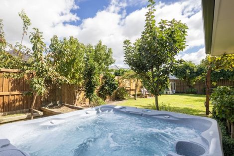 Photo of property in 53 Meadowfield Street, Flagstaff, Hamilton, 3210