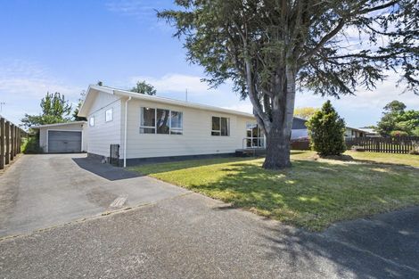 Photo of property in 17 Tingey Avenue, Feilding, 4702