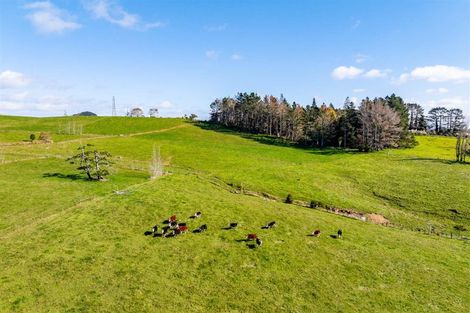 Photo of property in 103 Partridge Road, Wellsford, 0973