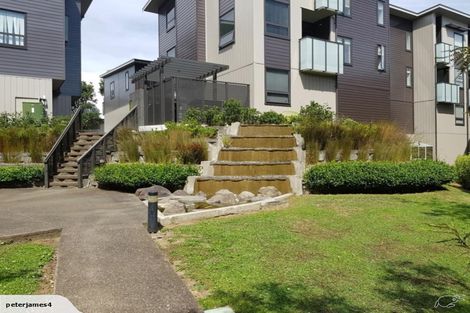 Photo of property in 98 Harold Street, Mount Eden, Auckland, 1024