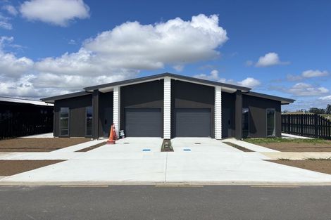 Photo of property in 38 Puketutu Drive, Te Kauwhata, 3710