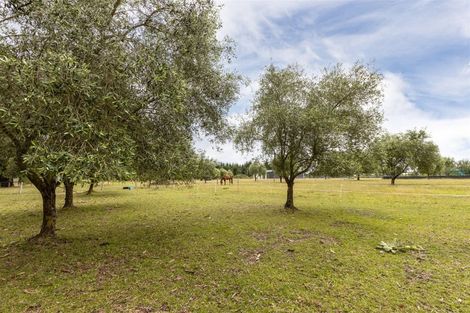 Photo of property in 84 Rarangi Road, Rarangi, Blenheim, 7273