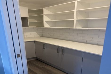 Photo of property in 209a Walter Strevens Drive, Conifer Grove, Takanini, 2112