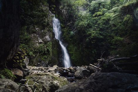 Photo of property in 2771 State Highway 1, Waipapa Bay, Kaikoura, 7371