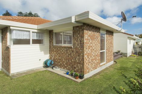 Photo of property in 45a Harrier Street, Parkvale, Tauranga, 3112