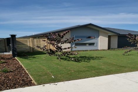 Photo of property in 61 Lydiard Drive, Rolleston, 7615