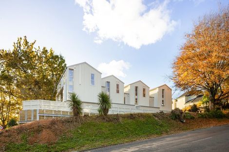 Photo of property in 3/2 Woodstock Road, Fairfield, Hamilton, 3214