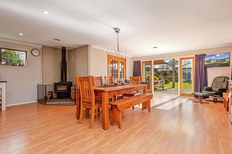 Photo of property in 49 Knowles Street, Terrace End, Palmerston North, 4410