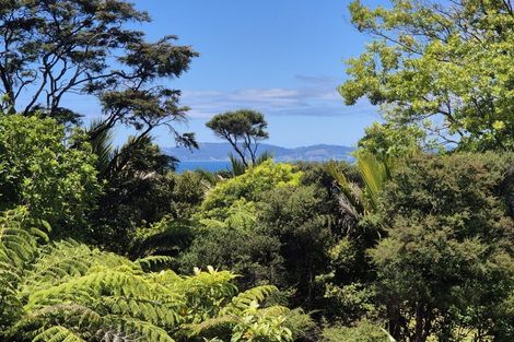 Photo of property in 451 Tuateawa Road, Tuateawa, Coromandel, 3583