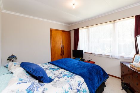 Photo of property in 203 Albert Street, Hokowhitu, Palmerston North, 4410