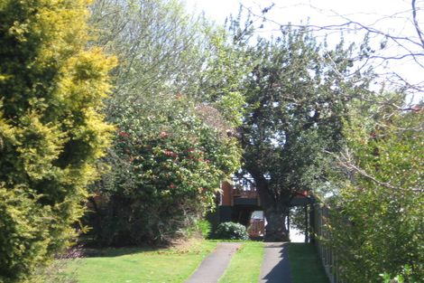 Photo of property in 19 Wychwood Crescent, Springfield, Rotorua, 3015