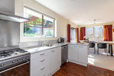 Photo of property in 74 Peel Street, Geraldine, 7930