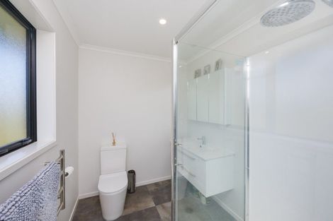 Photo of property in 1373 Colyton Road, Ashhurst, 4470