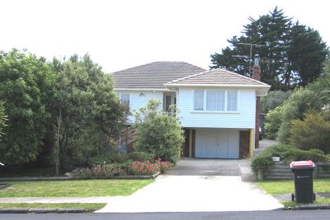 Photo of property in 1 Rustic Avenue, Mount Roskill, Auckland, 1041