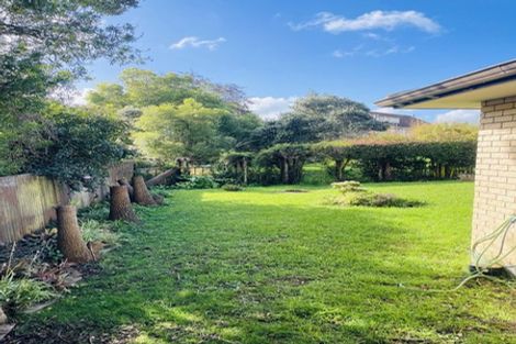 Photo of property in 63b Seabrook Avenue, New Lynn, Auckland, 0600