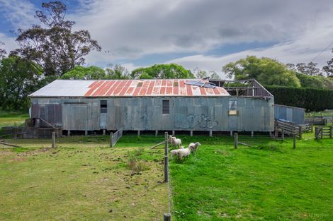 Photo of property in 2458 Waimate Highway, Makikihi, Waimate, 7980