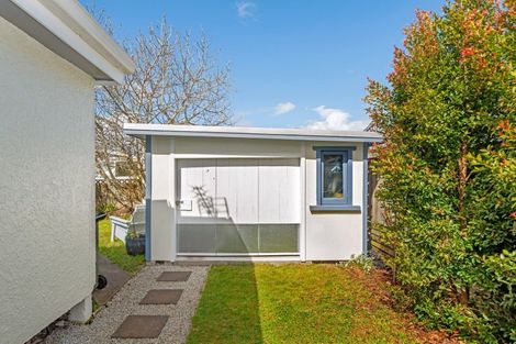 Photo of property in 15 Buchanan Street, Mangapapa, Gisborne, 4010