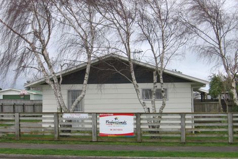 Photo of property in 4 Beatty Street, Levin, 5510