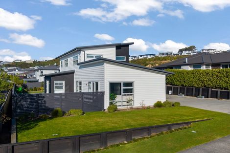 Photo of property in 17 John Burke Drive, Aotea, Porirua, 5024