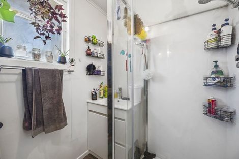 Photo of property in 250 Balmoral Drive, Tokoroa, 3420