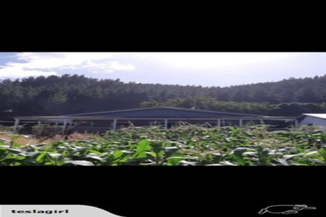 Photo of property in 250 Maungaroa Road, Retaruke, Owhango, 3990